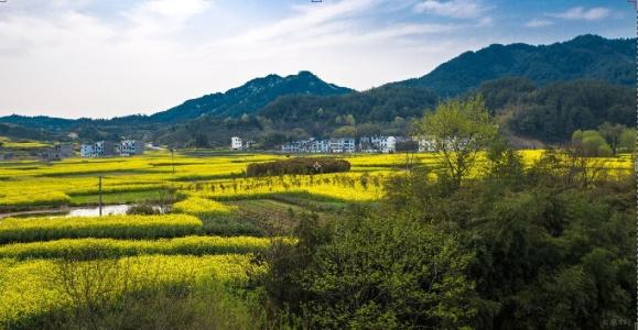 手機(jī)信號增強(qiáng)|跟弱信號說拜拜，用這個方法實(shí)現(xiàn)網(wǎng)絡(luò)信號100%